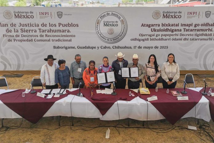 sheinbaum-restituye-mas-de-820-hectareas-a-los-pueblos-odami-y-raramuri-de-la-sierra-tarahumara