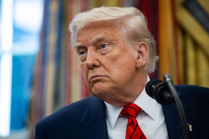 trump-exige-que-se-investigue-a-artistas-que-apoyaron-a-kamala-harris