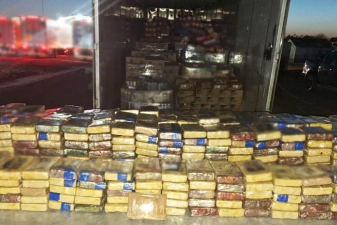 detienen-a-integrante-del-cartel-del-pacifico-con-700-kilos-de-cocaina
