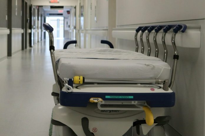 secretaria-de-salud-detecta-6-casos-de-miasis-humana-por-gusano-barrenador